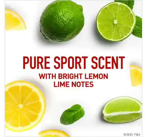 /images/470X440/990004905_C.webp 