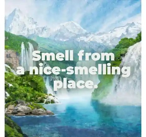 /images/470X440/990005217_C.webp 